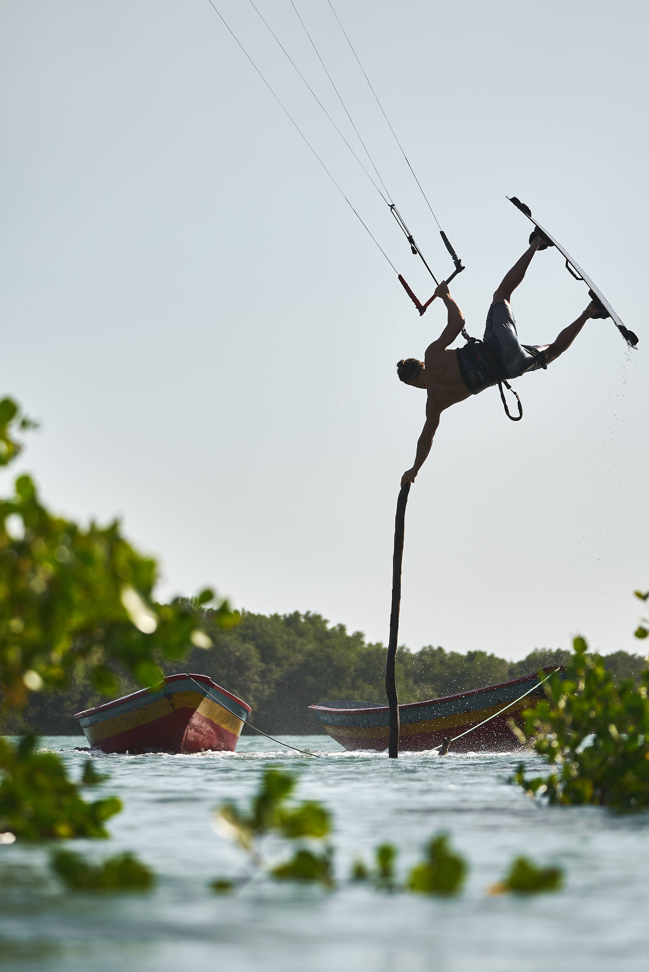 Access Magazine - Brazil Mangroves 1